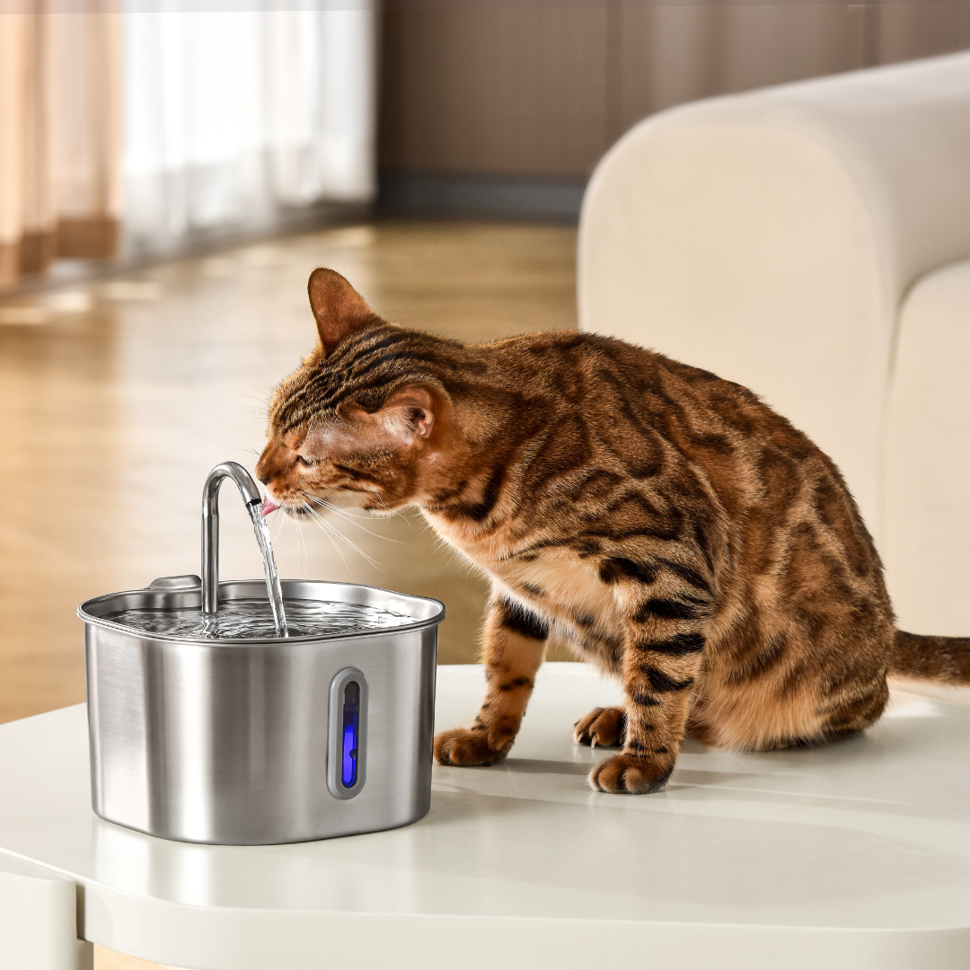FonteMicio™ – Fontana da 2,2 L con Kit di 2 Mesi