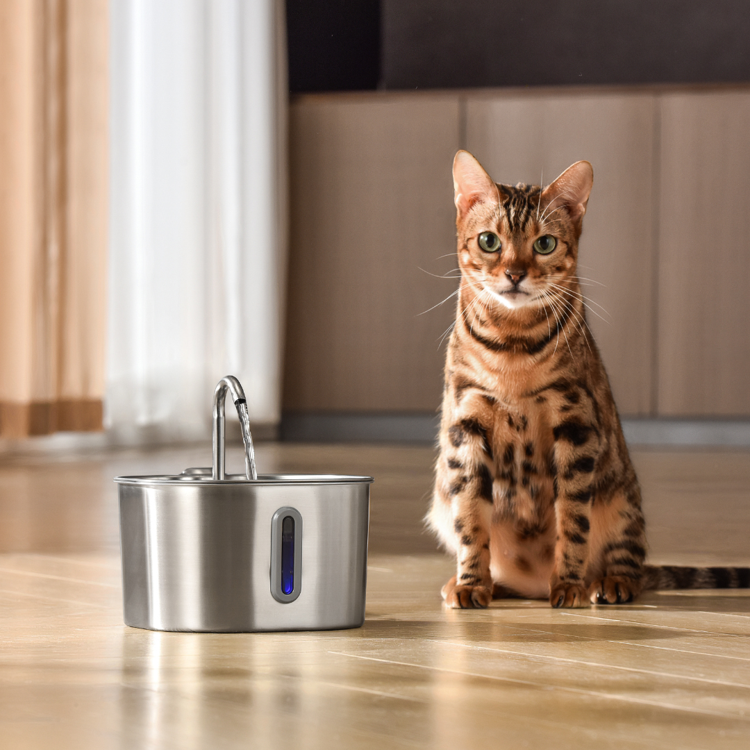 FonteMicio™ – Fontana da 2,2 L con Kit di 2 Mesi