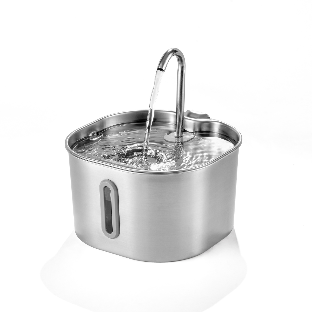 FonteMicio™ – Fontana da 2,2 L con Kit di 2 Mesi